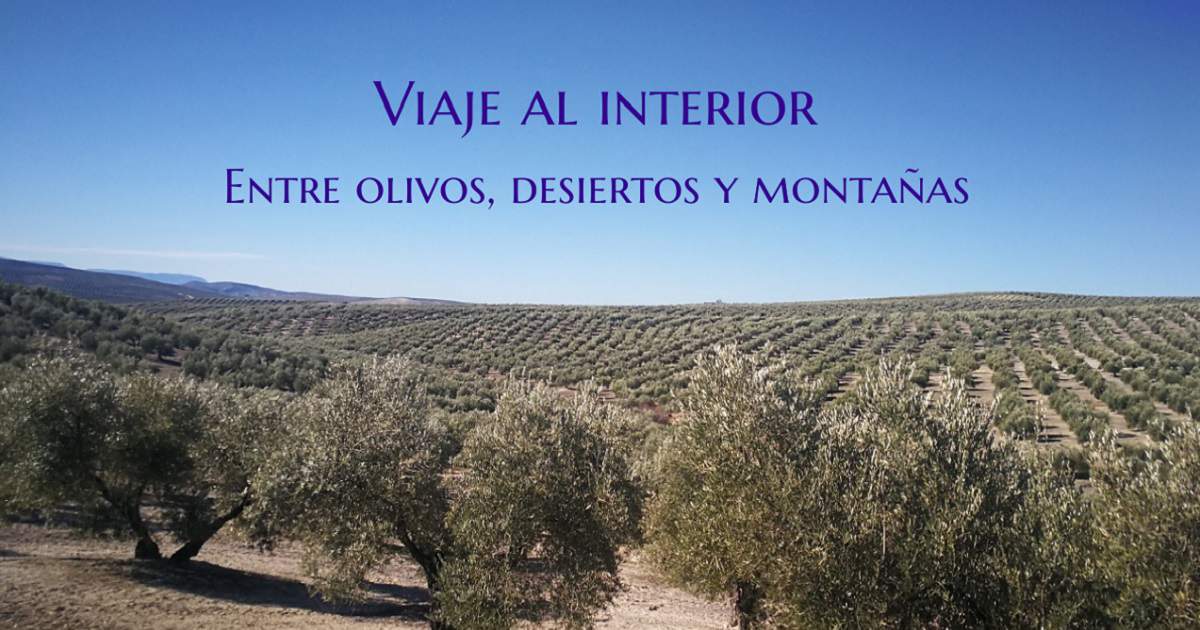 Viaje al interior entre olivos desiertos y montanas 